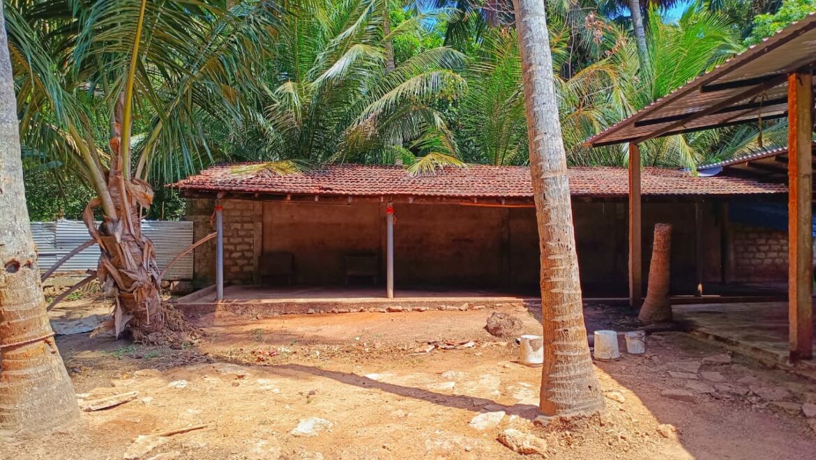 video image