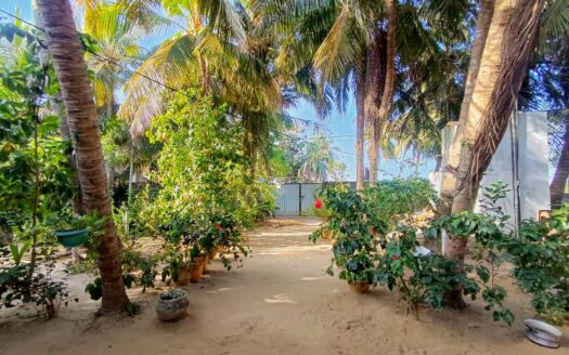 யாழ்.அரியாலை AV road அருகில் வீடு விற்பனைக்கு.🏠